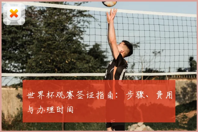世界杯观赛签证指南：步骤、费用与办理时间