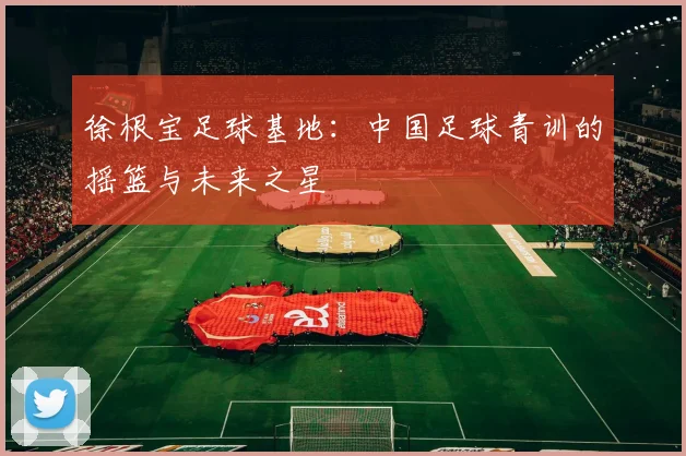 徐根宝足球基地:中国足球青训的摇篮与未来之星