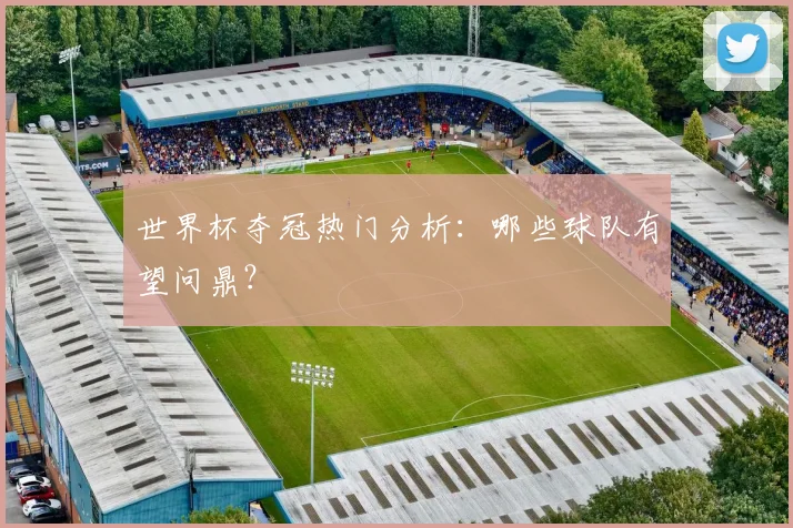 世界杯夺冠热门分析:哪些球队有望问鼎?
